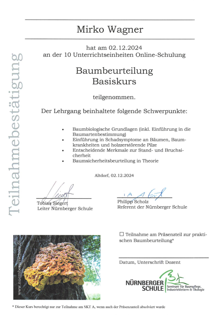 Baumbeurteilung Mirko Wagner